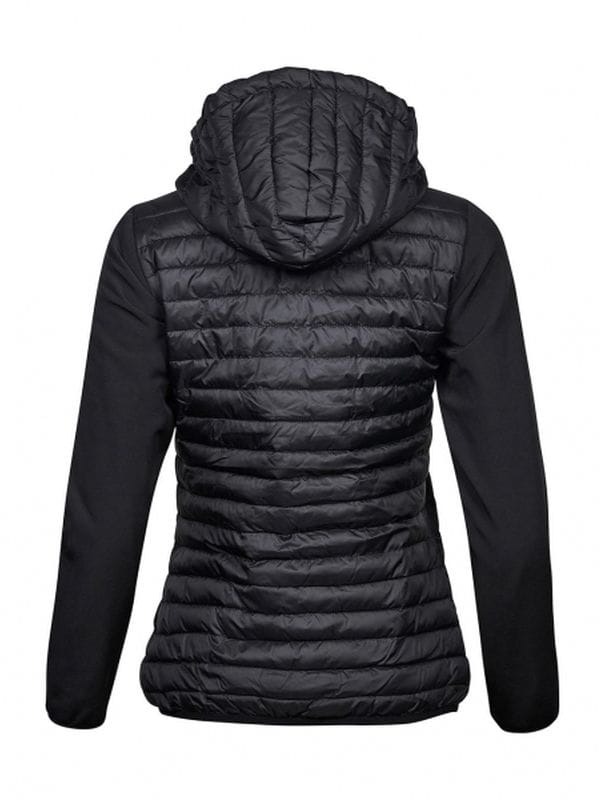 Black Back