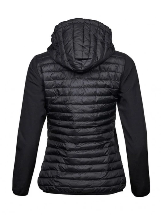 Black Back