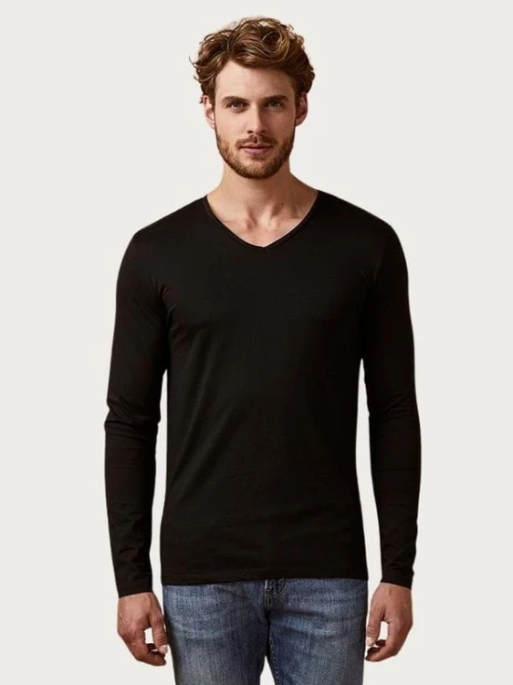 V-Neck Longsleeve Men Promodoro 1460