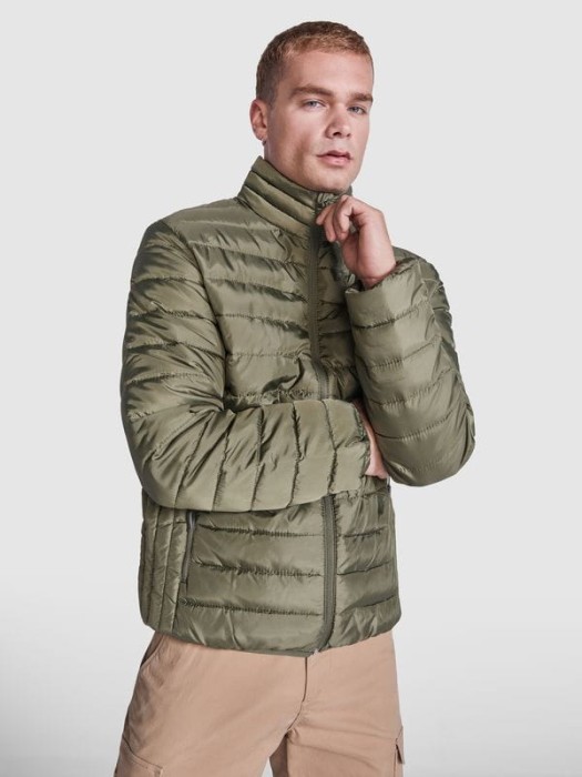 5094 Roly Finland