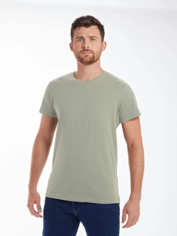 Soft Olive