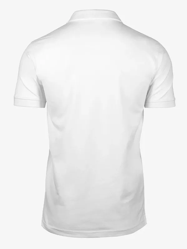 Koszulka polo Harvard V-Neck Men (White)