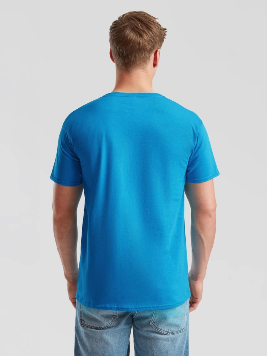 Męski T-shirt Valueweight V-Neck 61-066-0