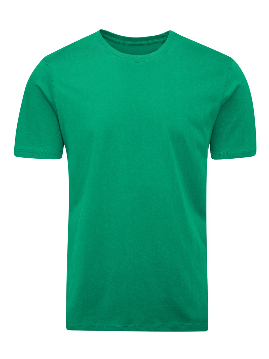 Męska koszulka Essential T Kelly Green